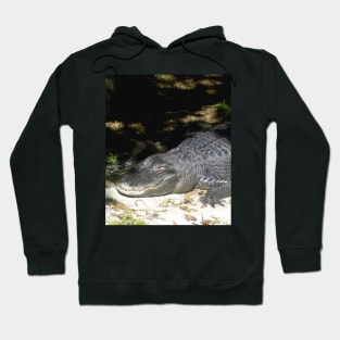 Alligator Sunbathing Hoodie